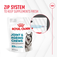 Load image into Gallery viewer, Royal Canin Dog Supplement for Joint & Ageing Soft Chews 240g