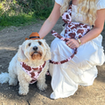 Load image into Gallery viewer, Rodeo Pup Dog Hat: Medium