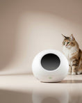 Load image into Gallery viewer, Petkit Luxury Cat Bed – Comfortable & Stylish Resting Space