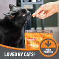 Load image into Gallery viewer, Rosewood Crunchy Cheese Cat Treats 200g Value Pack Case of 10
