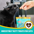 Load image into Gallery viewer, Rosewood Premium Cat Treats Pick ‘N’ Mix Seafood Flavor 180g Case of 10