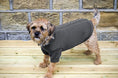 Load image into Gallery viewer, Banbury & Co Knitted Dog Jumper