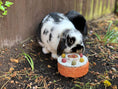 Load image into Gallery viewer, Rosewood Natural Celebration Cake Small Animal Treats, Case of 6