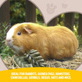 Load image into Gallery viewer, Rabbit Veggie Burst Salad Patch Rosewood