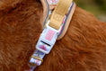 Load image into Gallery viewer, Pastel Petals - Supaw Strong™ Dog Harness (XS-XL): Medium