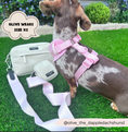 Load image into Gallery viewer, NAKD Adjustable Neck Harness - Candyfloss: L