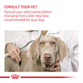 Load image into Gallery viewer, Royal Canin Dermacomfort Adult Wet Dog Food Pouches