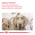 Load image into Gallery viewer, Royal Canin Digestive Care Wet Pouches Adult Dog Food