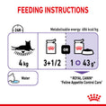 Load image into Gallery viewer, Royal Canin Appetite Control Care in Gravy Adult Wet Cat Food