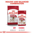 Load image into Gallery viewer, Royal Canin Medium Adult Dry Dog Food
