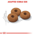 Load image into Gallery viewer, Royal Canin Appetite Control Sterilised