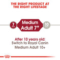 Load image into Gallery viewer, Royal Canin Medium Adult 7+ Dry Dog Food