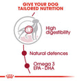 Load image into Gallery viewer, Royal Canin Medium Adult in Gravy Wet Dog Food