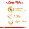 Load image into Gallery viewer, Royal Canin Bengal