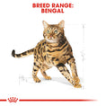 Load image into Gallery viewer, Royal Canin Bengal