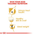 Load image into Gallery viewer, Royal Canin Bichon Frise Adult Dry Dog Food
