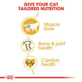 Load image into Gallery viewer, Royal Canin British Shorthair Adult Dry Cat Food