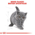 Load image into Gallery viewer, Royal Canin British Shorthair Kitten Dry Food