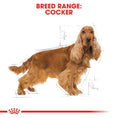 Load image into Gallery viewer, Royal Canin Cocker Adult Dry Dog Food