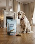 Load image into Gallery viewer, Cooper & Co Semi-Moist Biscuit Senior Turkey with Sweet Potato 135g