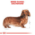 Load image into Gallery viewer, Royal Canin Dachshund Adult Dry Dog Food