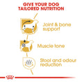Load image into Gallery viewer, Royal Canin Dachshund Adult Dry Dog Food