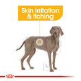 Load image into Gallery viewer, Royal Canin Maxi Dermacomfort Adult Dry Dog Food