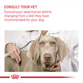 Load image into Gallery viewer, Royal Canin Mini Dermacomfort Adult Dry Dog Food