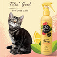 Load image into Gallery viewer, Pet Head Felin' Good