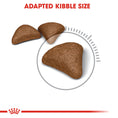 Load image into Gallery viewer, Royal Canin Hairball Care Adult Dry Cat Food