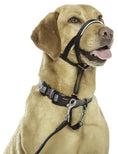 Load image into Gallery viewer, Halti Dog Head Collar