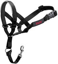 Load image into Gallery viewer, Halti Dog Head Collar