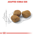 Load image into Gallery viewer, Royal Canin Indoor 7+ Senior Dry Cat Food
