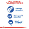 Load image into Gallery viewer, Royal Canin Indoor Cat Long Hair