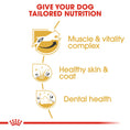 Load image into Gallery viewer, Royal Canin Jack Russell Terrier Adult Dry Dog Food