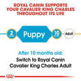 Load image into Gallery viewer, Royal Canin Cavalier King Charles Puppy Dry Food