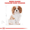 Load image into Gallery viewer, Royal Canin Cavalier King Charles Puppy Dry Food