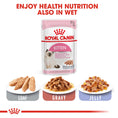 Load image into Gallery viewer, Royal Canin Kitten Dry Food