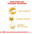 Load image into Gallery viewer, Royal Canin Maine Coon Adult Dry Cat Food