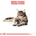 Load image into Gallery viewer, Royal Canin Maine Coon Adult Dry Cat Food