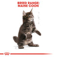 Load image into Gallery viewer, Royal Canin Coon Kitten Dry Food