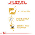 Load image into Gallery viewer, Royal Canin Maltese Adult Dry Dog Food