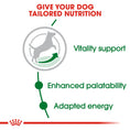 Load image into Gallery viewer, Royal Canin Mini Adult 8+