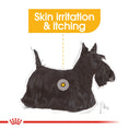 Load image into Gallery viewer, Royal Canin Dermacomfort Adult Dry Dog Food