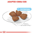 Load image into Gallery viewer, Royal Canin Mini Starter Mother & Babydog Adult and Puppy Dry Food