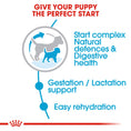 Load image into Gallery viewer, Royal Canin Mini Starter Mother & Babydog Adult and Puppy Dry Food