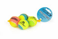 Load image into Gallery viewer, Sportspet Tennis Balls For Dogs