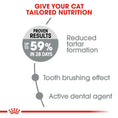 Load image into Gallery viewer, Royal Canin Dental Care Adult Dry Cat Food