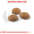 Load image into Gallery viewer, Royal Canin Outdoor Adult Dry Cat Food