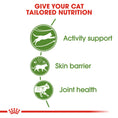 Load image into Gallery viewer, Royal Canin Outdoor Adult Dry Cat Food